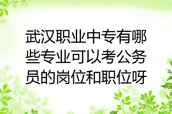 武汉职业中专有哪些专业可以考公务员的岗位和职位呀