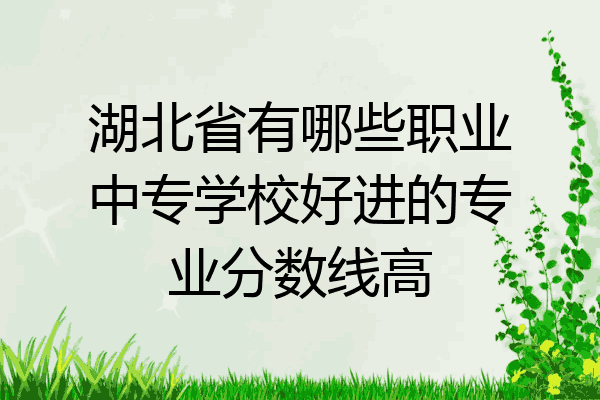 湖北省有哪些职业中专学校好进的专业分数线高