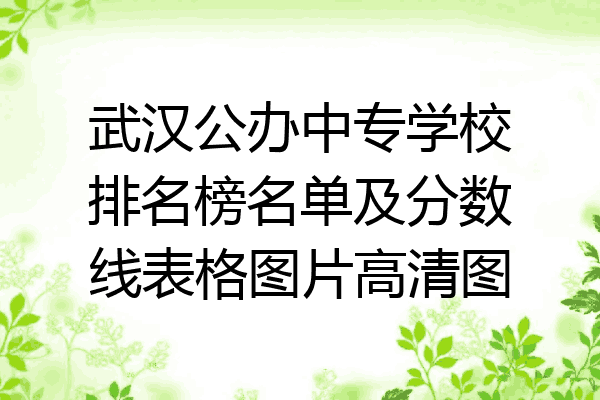 武汉公办中专学校排名榜名单及分数线表格图片高清图