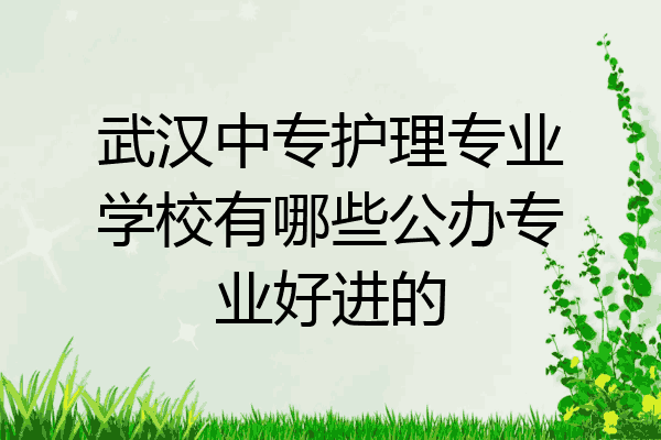 武汉中专护理专业学校有哪些公办专业好进的