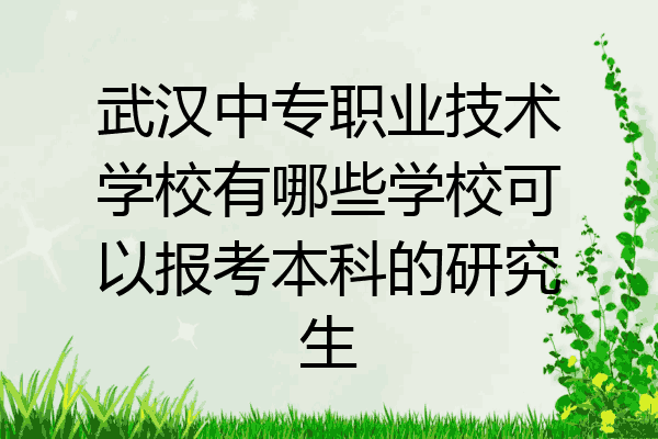 武汉中专职业技术学校有哪些学校可以报考本科的研究生
