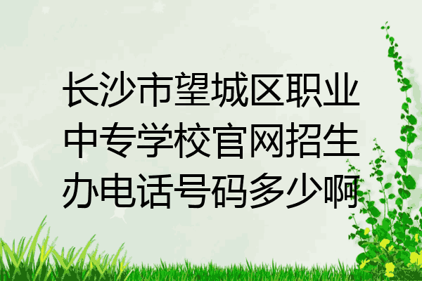 长沙市望城区职业中专学校官网招生办电话号码多少啊