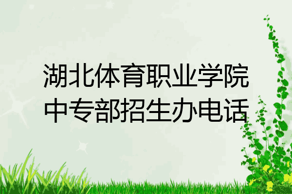 湖北体育职业学院中专部招生办电话