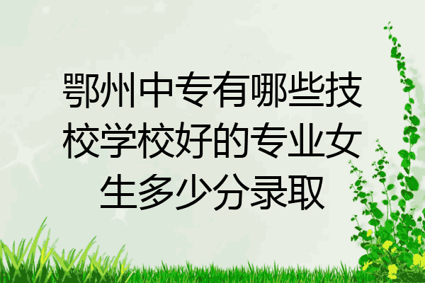 鄂州中专有哪些技校学校好的专业女生多少分录取