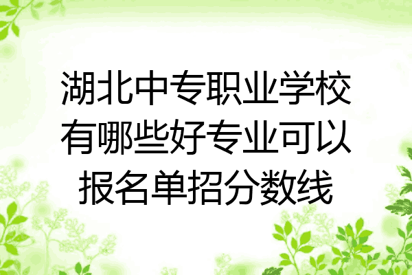 湖北中专职业学校有哪些好专业可以报名单招分数线