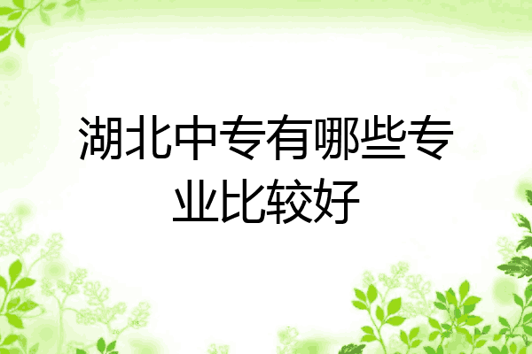 湖北中专有哪些专业比较好
