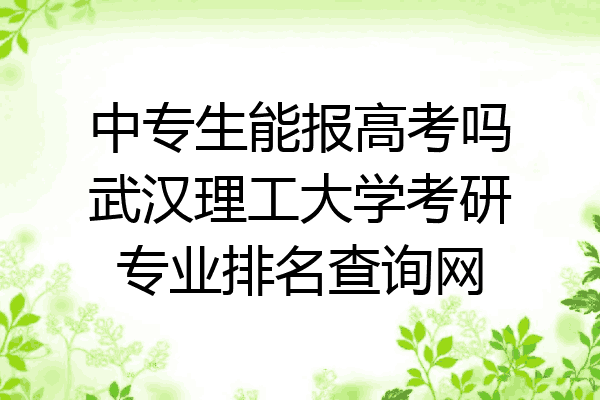 中专生能报高考吗武汉理工大学考研专业排名查询网