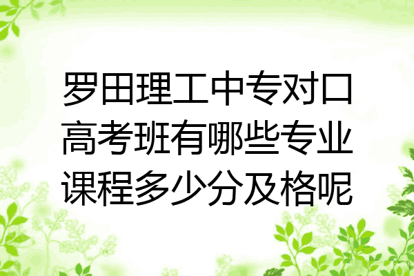 罗田理工中专对口高考班有哪些专业课程多少分及格呢