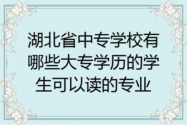 湖北省中专学校有哪些大专学历的学生可以读的专业