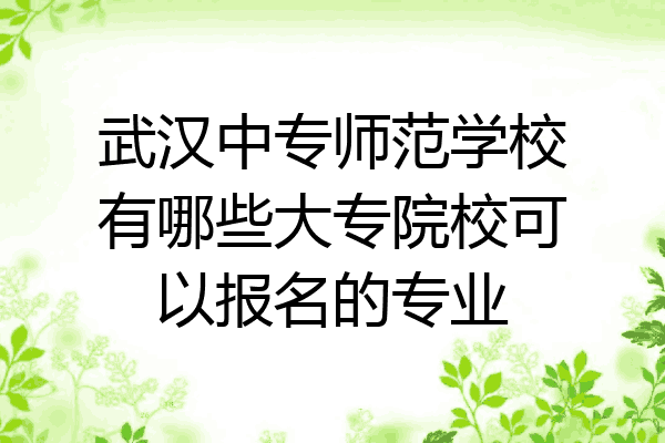 武汉中专师范学校有哪些大专院校可以报名的专业
