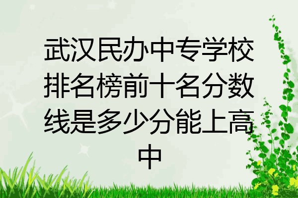 武汉民办中专学校排名榜前十名分数线是多少分能上高中