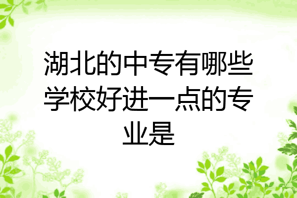 湖北的中专有哪些学校好进一点的专业是