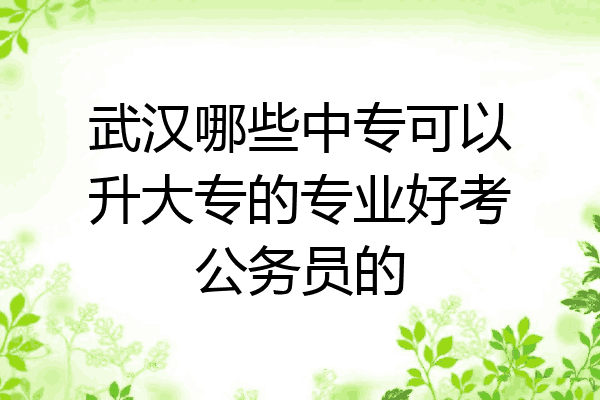 武汉哪些中专可以升大专的专业好考公务员的