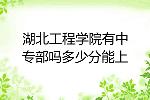 湖北工程学院有中专部吗多少分能上