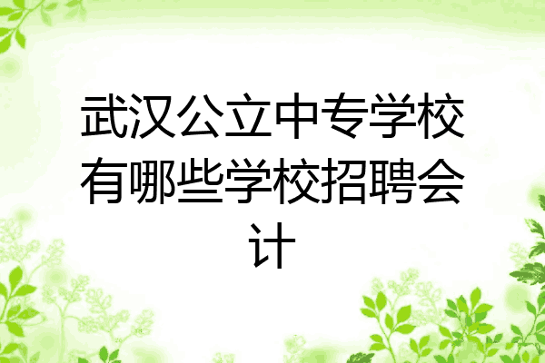 武汉公立中专学校有哪些学校招聘会计