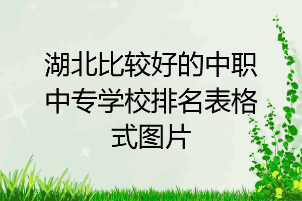 湖北比较好的中职中专学校排名表格式图片