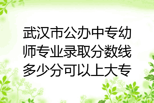 武汉市公办中专幼师专业录取分数线多少分可以上大专