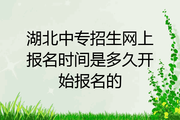 湖北中专招生网上报名时间是多久开始报名的