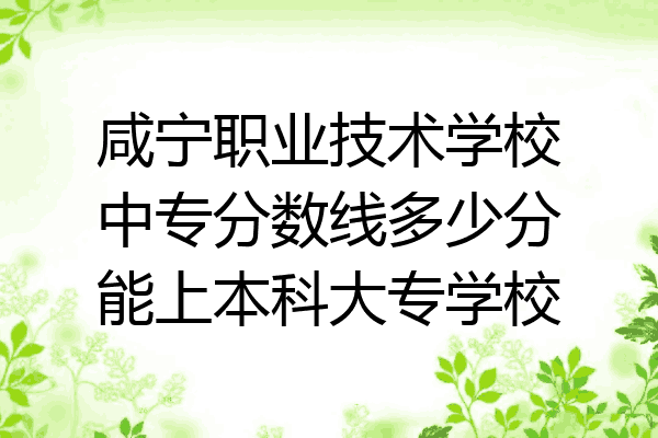 咸宁职业技术学校中专分数线多少分能上本科大专学校