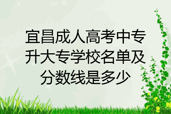 宜昌成人高考中专升大专学校名单及分数线是多少