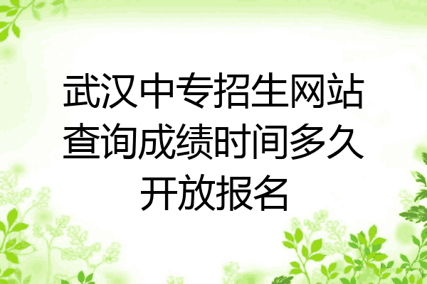 武汉中专招生网站查询成绩时间多久开放报名