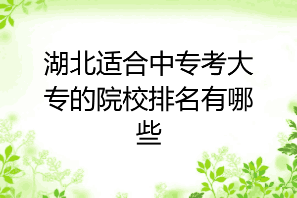 湖北适合中专考大专的院校排名有哪些
