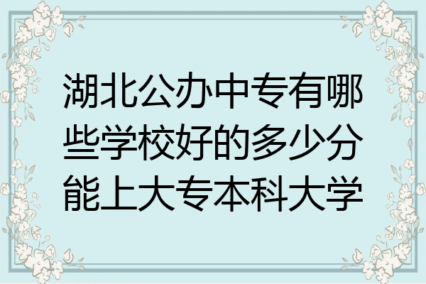 湖北公办中专有哪些学校好的多少分能上大专本科大学