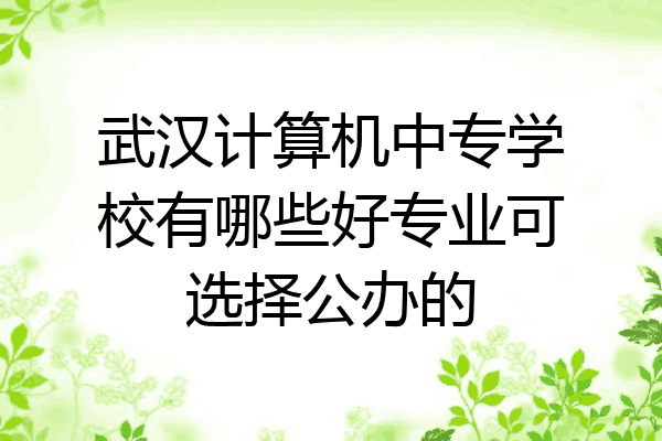 武汉计算机中专学校有哪些好专业可选择公办的