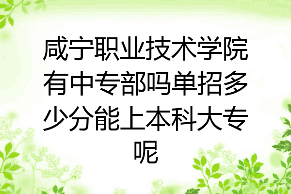 咸宁职业技术学院有中专部吗单招多少分能上本科大专呢