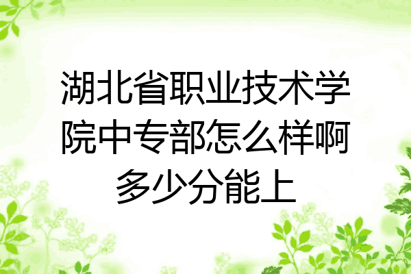 湖北省职业技术学院中专部怎么样啊多少分能上
