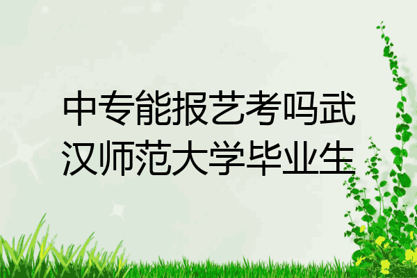 中专能报艺考吗武汉师范大学毕业生