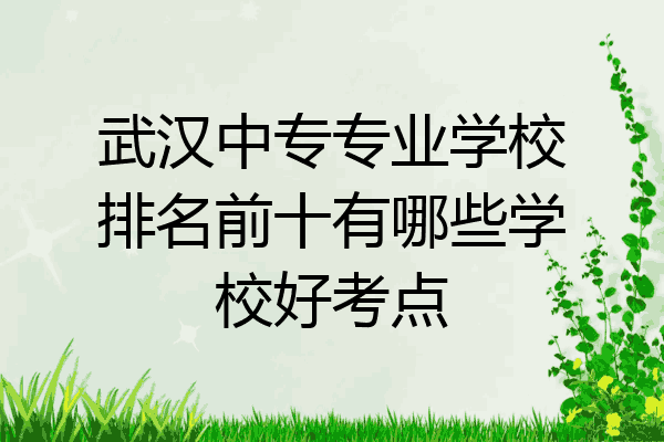 武汉中专专业学校排名前十有哪些学校好考点