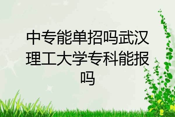 中专能单招吗武汉理工大学专科能报吗