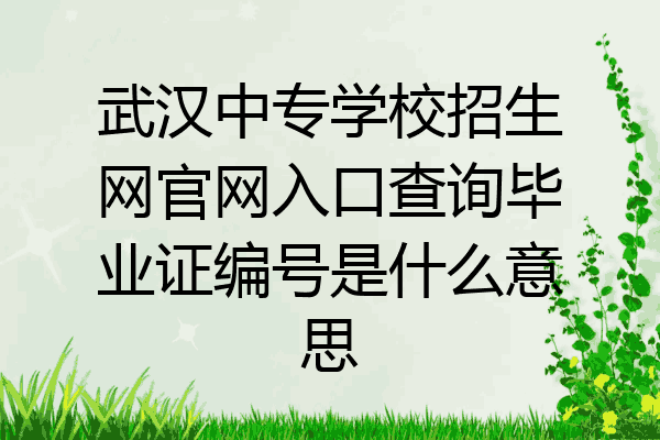 武汉中专学校招生网官网入口查询毕业证编号是什么意思