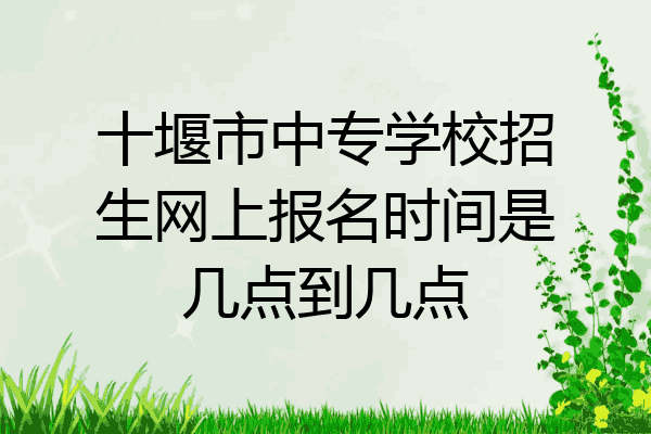 十堰市中专学校招生网上报名时间是几点到几点