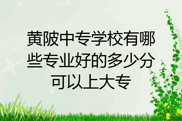 黄陂中专学校有哪些专业好的多少分可以上大专