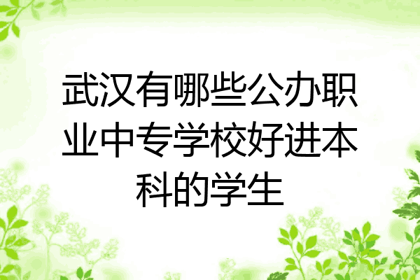 武汉有哪些公办职业中专学校好进本科的学生