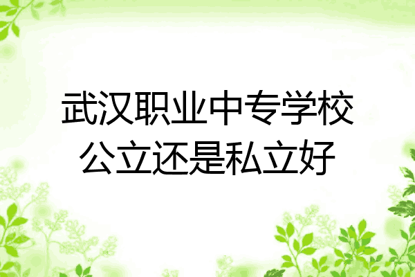 武汉职业中专学校公立还是私立好