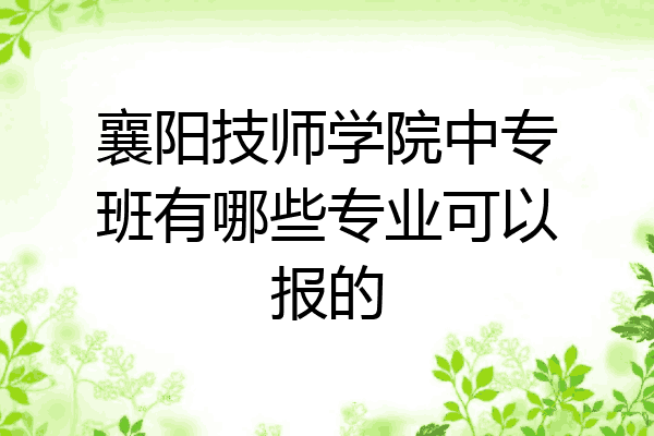 襄阳技师学院中专班有哪些专业可以报的
