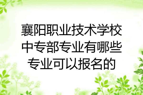 襄阳职业技术学校中专部专业有哪些专业可以报名的