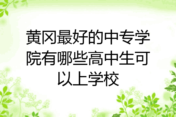 黄冈最好的中专学院有哪些高中生可以上学校