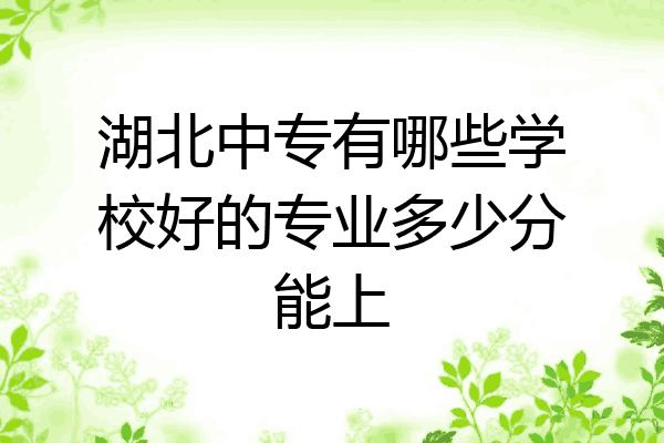 湖北中专有哪些学校好的专业多少分能上