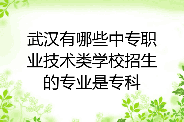 武汉有哪些中专职业技术类学校招生的专业是专科