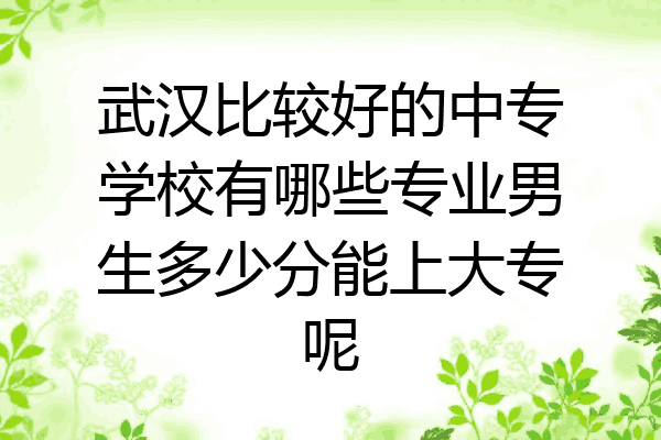 武汉比较好的中专学校有哪些专业男生多少分能上大专呢