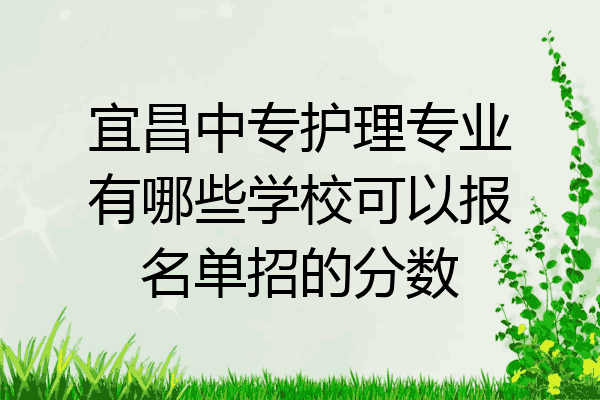 宜昌中专护理专业有哪些学校可以报名单招的分数