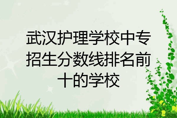 武汉护理学校中专招生分数线排名前十的学校