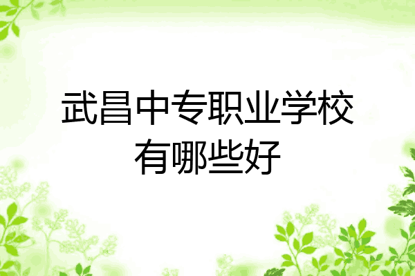 武昌中专职业学校有哪些好