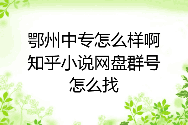 鄂州中专怎么样啊知乎小说网盘群号怎么找