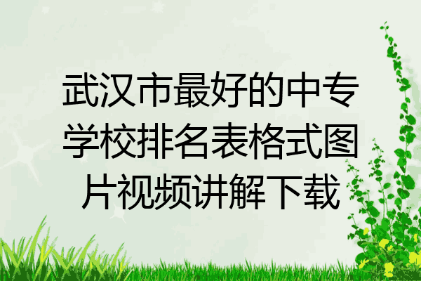 武汉市最好的中专学校排名表格式图片视频讲解下载