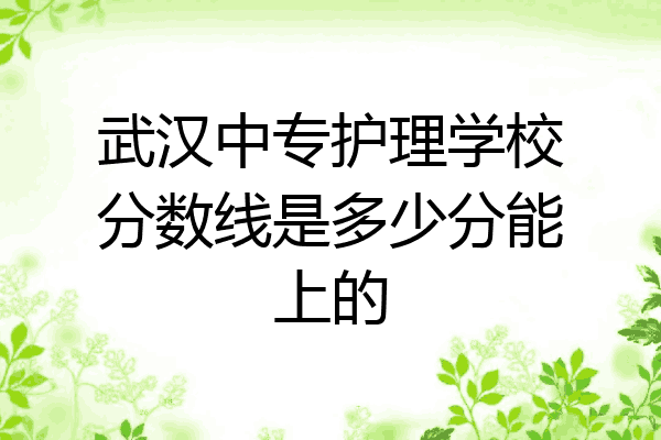 武汉中专护理学校分数线是多少分能上的